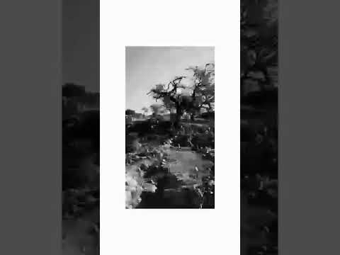 Parcelas en San Fernando.  a 2 minutos de la ruta 5 sur