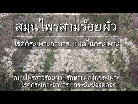 ไม่ว่าจะเป็นไปได้ในการรักษาโรคสะเก็ดเงินน้ำมันดิน กลากในวัยรุ่นมันเป็น