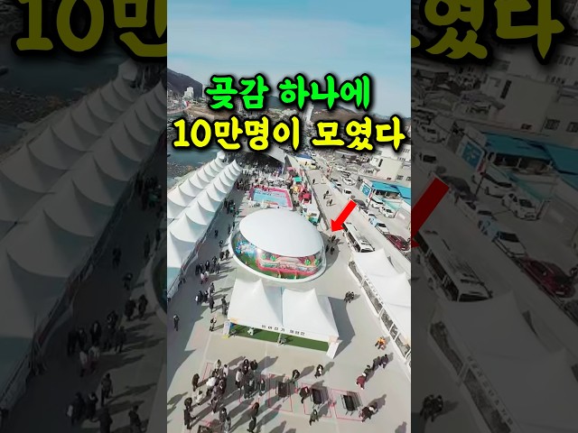 영동곶감축제 YouTube 영상 썸네일