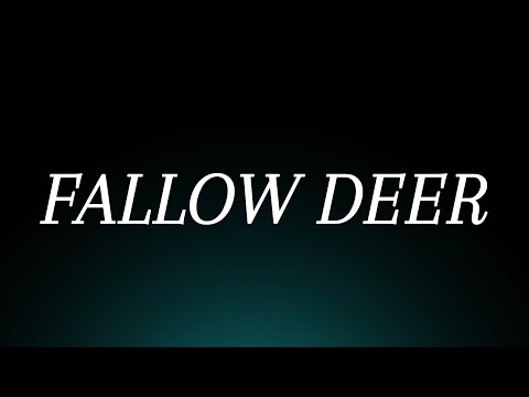 Learn How to Pronounce 'Fallow Deer'! Correctly (Animal Pronunciation)