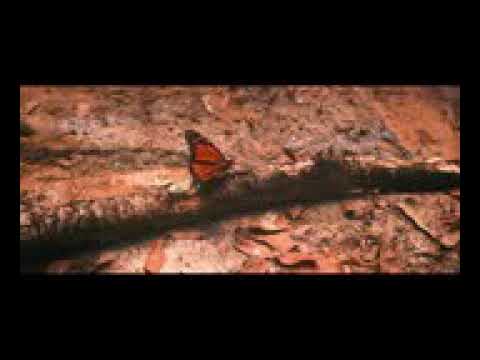 Premier contact (Alien Encounter) -science science-fiction film complet en français