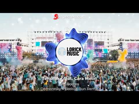 Tensnake feat. Cara Melin - Antibodies (Dombresky X Boston Bun Remix) (Visualizer)