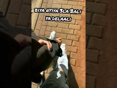 Bilel Tacchini - ghazali ghazaali (lyrics/الكلمات) أغنية  غزالي غزالي