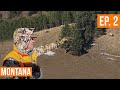 BULLS ON PUBLIC | Montana Deer & Elk (EP. 2)