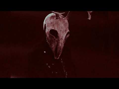 50 Carrot - Wiz Kid (Voyd Edit)