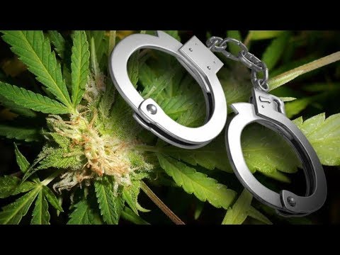 American Patient Arrested for Cannabis Possession in CZ | D. Hodges, J. Poláček, Cannafest 2017