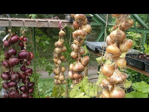 kenőcsök a foltok után pikkelysömör terhessg s pikkelysömör az arcon hogyan kell kezelni