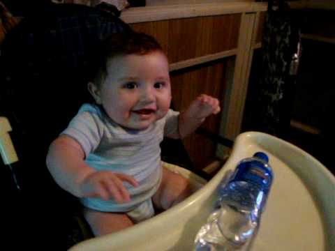 Mozzarella tarantela