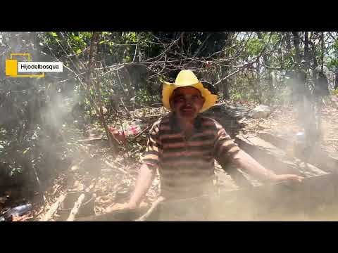 La tradiciónal molienda de caña. Aldea san Antonio montaña, Erandique lempira Honduras. 🇭🇳 