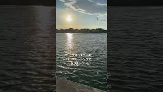 #釣り #フィッシング #海 #ウナギ釣り #釣りガール