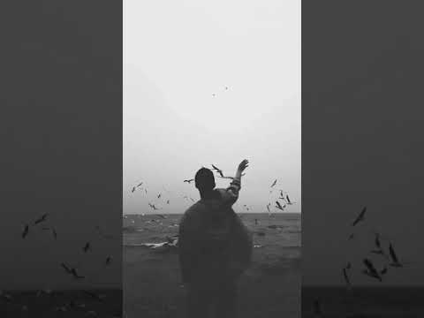 Salıncaktan Düş - Alper Gencer