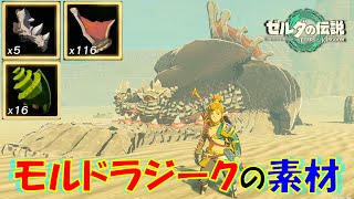 【ゼルダの伝説ティアキン】モルドラジークの素材（アゴ骨、背びれ、肝）が入手できる全4か所