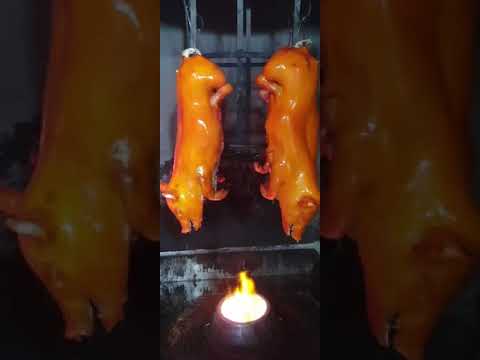 HEO SỮA CÚNG KHAI TRƯƠNG ĐẦU NĂM