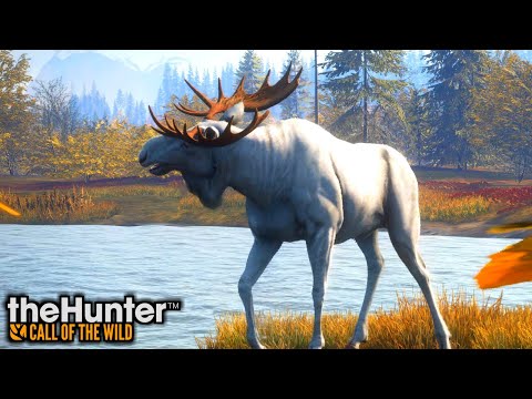 Ultimate Moose Grind Guide and Hotspot Maps! | theHunter Call of the Wild