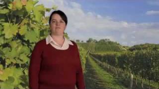 preview picture of video 'Cappuvino Winemaking Promo'