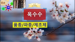 [농사정보(4월 중순)]  옥수수_품종&파종&제초제