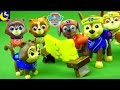 NEW Paw Patrol Toys Catastrophe Crew Kittens Pup Fu Chase Rubble Zuma Mission Paw Humdinger Cat Toys