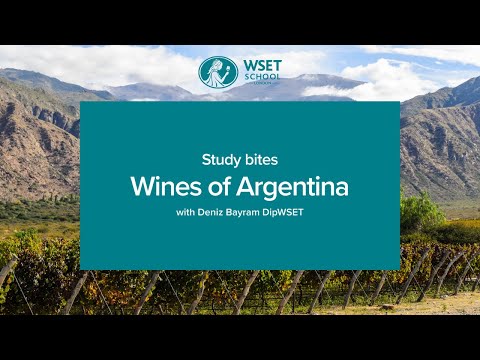 Study bites: wines of Argentina (WSET Level 3 wine)