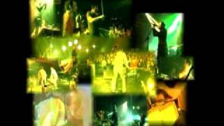 Habibi, Orange Blossom