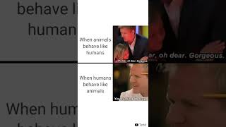 Memes Compilation Watch HD Mp4 Videos Download Free Memes Compilation Watch HD Mp4 Videos Download Free