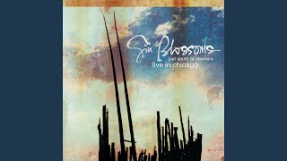 Mrs. Rita (Live at the Metro)