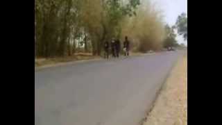 Download lagu MR MANSONS radja ghoda mp3 Download lagu MR MANSONS radja ghoda mp3