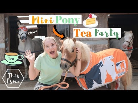 download lagu mp3 mp4 Minatural, download lagu Minatural gratis, unduh video klip Minatural