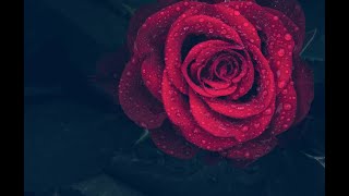 Adoro - Armando Manzanero