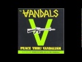 The Vandals- Birthday Bash
