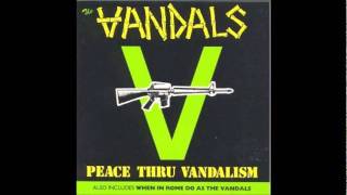 The Vandals- Birthday Bash