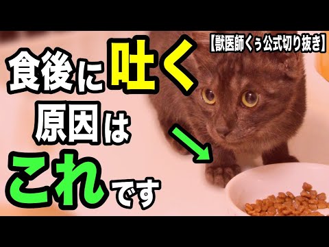 猫が食べた後に嘔吐します。原因は何でしょうか?