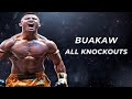Buakaw - All Knockouts of the Legend