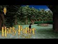 Harry Potter And The Philosopher S Stone PS1 100 Part 8 Sloth Brain