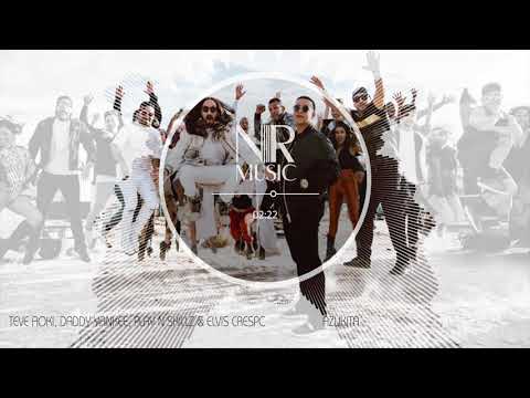 Steve Aoki, Daddy Yankee, Play N Skillz & Elvis Crespo - Azukita 4K [Ultra Music]