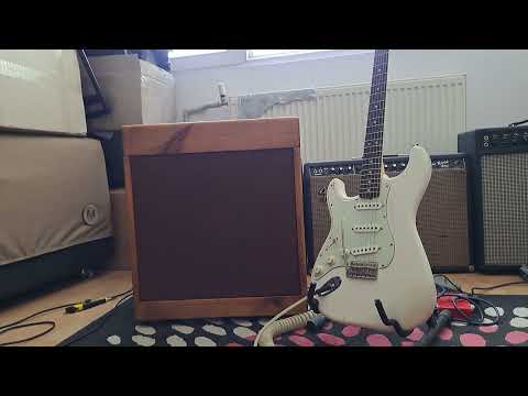 Fenderr Super reverb 1966 image 13
