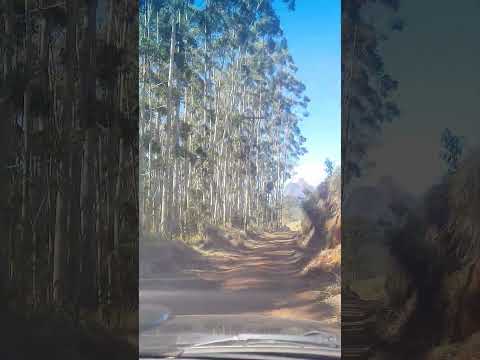 um passeio pela Estrada do Gravatá em Trajano de Moraes RJ