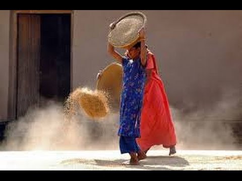 Tv7 con Voi del 07/01/2015 - Parliamo di Expo Veneto (3 di 3)