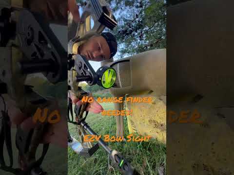 Best Bow Sight Ever?