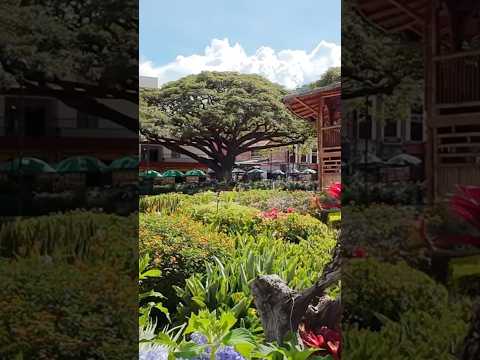 Municipio de Hispania #antioquia #drone #eternaprimavera #medellin #hispania