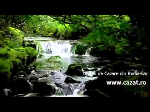 Cazare Gavanesti, Gorj - Cazat.ro