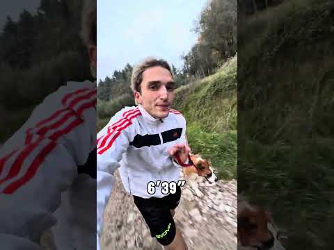 CORSA 4KM CON IL CANE PIÙ BELLO DEL MONDO