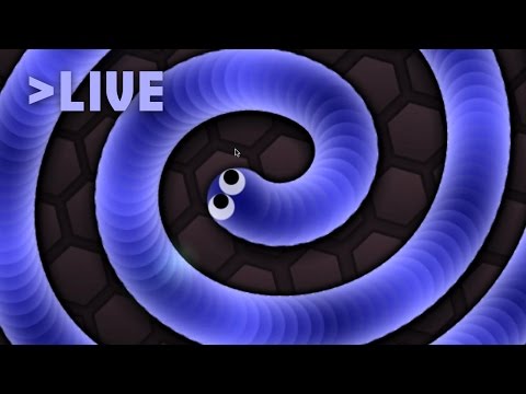 Slither.io Live Stream | Let's Eat Some Dots | Slither Sessions