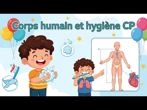 Découvrir le corps humain et l’hygiène au CP : apprendre à prendre soin de soi