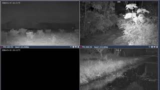 Thumbnail del capítulo