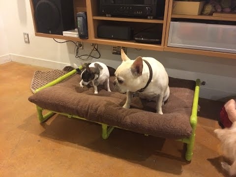 Top 100 PVC pipes DIY ideas