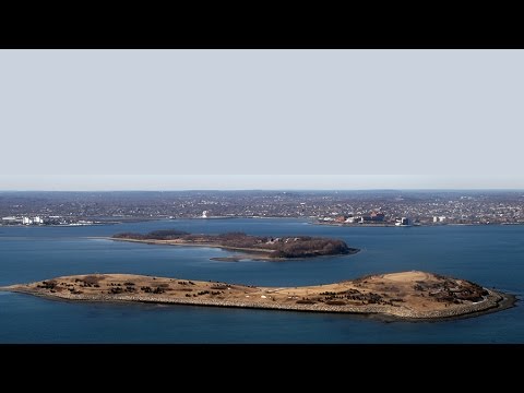 Ancient Life on Spectacle Island