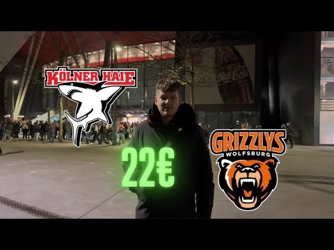 Die GÜNSTIGSTEN Tickets bei den Kölner Haien – ehrlicher Test!