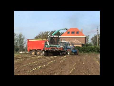 Loonw. Krick - De Wulf - Bottelare