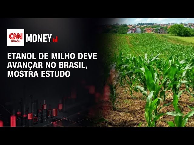 Etanol de milho deve avançar no Brasil, mostra estudo | MONEY NEWS