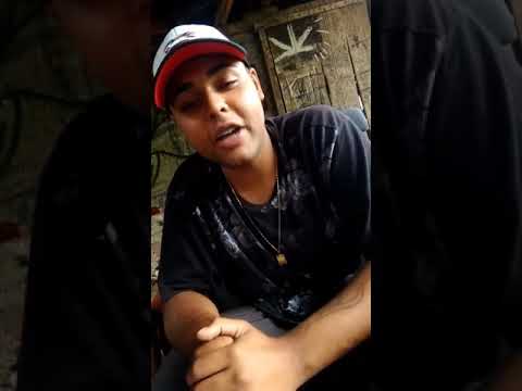 MC CH - Nova Medley 2018